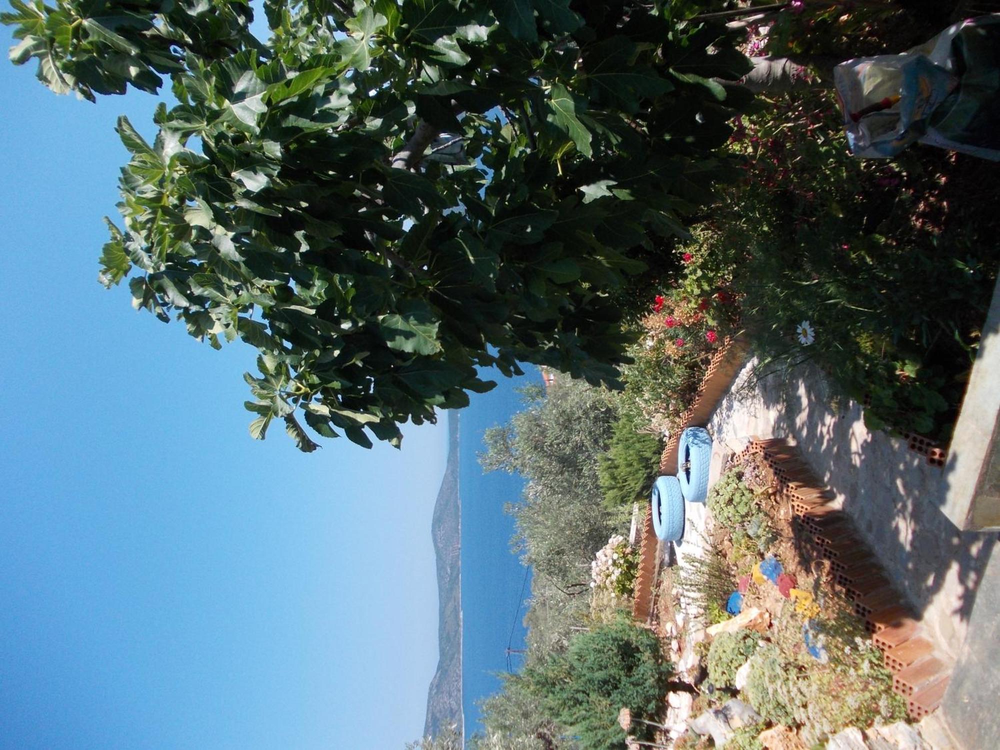 Mourtero House Villa Kalamakia Екстериор снимка